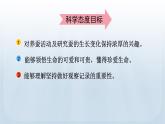 教科版科學三年級下冊 2.3 蠶長大了 課件+視頻