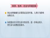 教科版科學三年級下冊 2.3 蠶長大了 課件+視頻