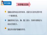 教科版科學(xué)三年級下冊 2.4 蠶變了新模樣 課件+視頻