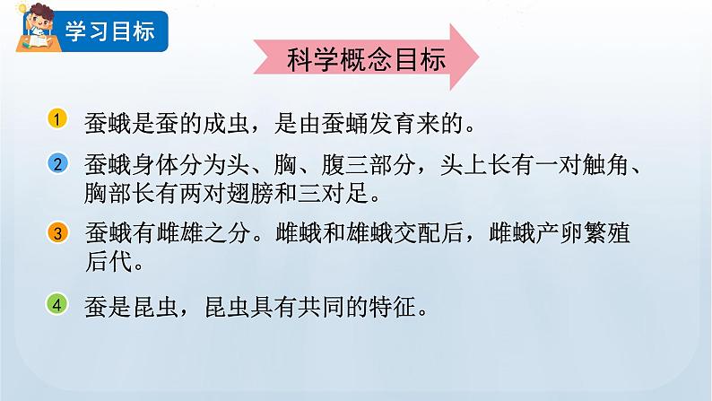 教科版科学三年级下册 2.5 茧中钻出了蚕蛾 课件+视频02