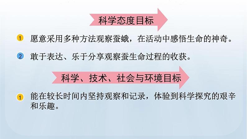 教科版科学三年级下册 2.5 茧中钻出了蚕蛾 课件+视频04