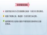 教科版科学三年级下册 2.6 蚕的一生 课件+视频