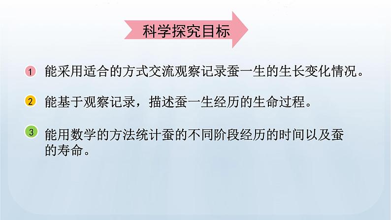 教科版科学三年级下册 2.6 蚕的一生 课件+视频03