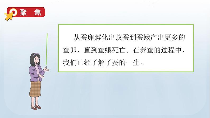 教科版科学三年级下册 2.6 蚕的一生 课件+视频06