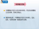 教科版科學(xué)三年級下冊 2.7 動物的繁殖 課件+視頻