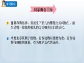 教科版科學(xué)三年級下冊 2.7 動物的繁殖 課件+視頻