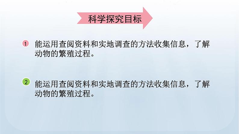 教科版科学三年级下册 2.7 动物的繁殖 课件+视频04