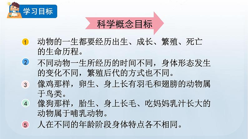 教科版科学三年级下册 2.8 动物的一生 课件02