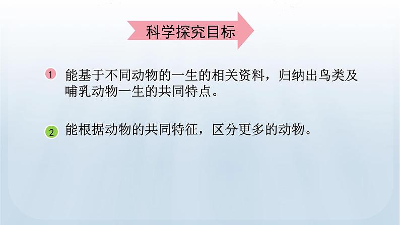 教科版科学三年级下册 2.8 动物的一生 课件03