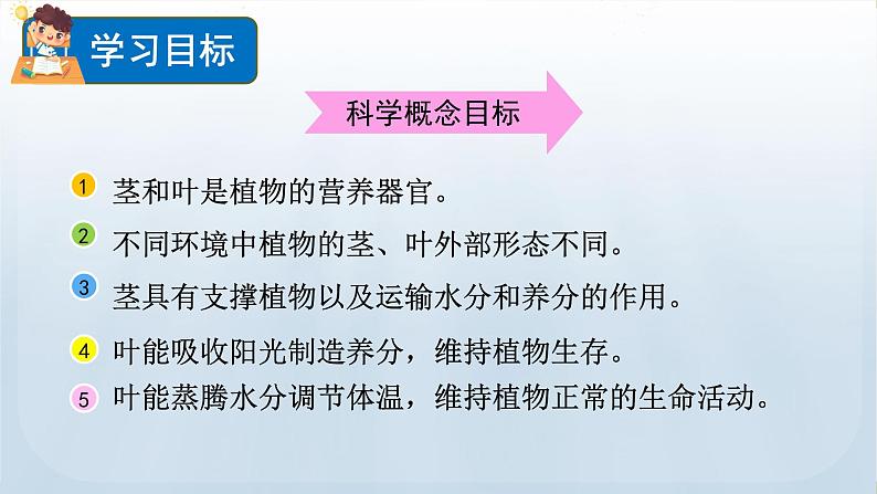 教科版科学四年级下册 1.4 茎和叶 课件第2页