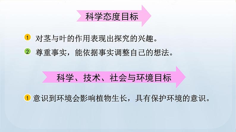 教科版科学四年级下册 1.4 茎和叶 课件第4页