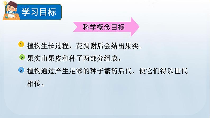 教科版科学四年级下册 1.6 果实和种子 课件+视频02