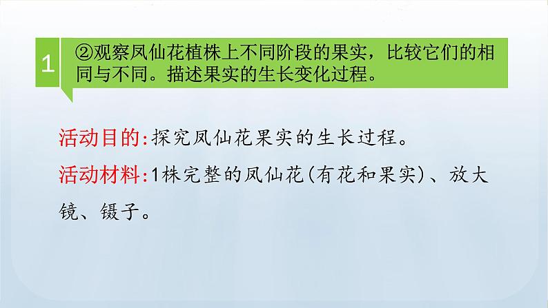 教科版科学四年级下册 1.6 果实和种子 课件+视频08