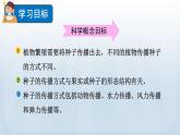 教科版科学四年级下册 1.7 种子的传播 课件+视频