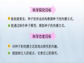 教科版科学四年级下册 1.7 种子的传播 课件+视频