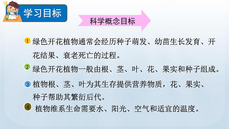 教科版科学四年级下册 1.8 凤仙花的一生 课件02