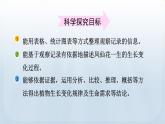 教科版科学四年级下册 1.8 凤仙花的一生 课件