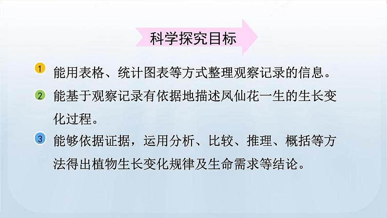 教科版科学四年级下册 1.8 凤仙花的一生 课件03