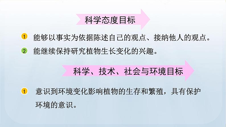 教科版科学四年级下册 1.8 凤仙花的一生 课件04