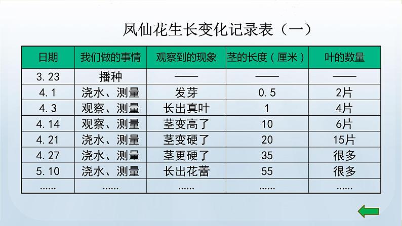 教科版科学四年级下册 1.8 凤仙花的一生 课件08