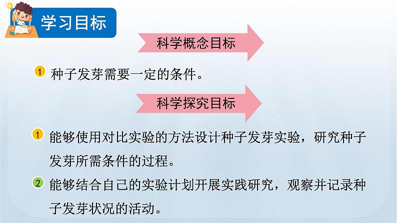 教科版科学五年级下册 1.1 种子发芽实验 课件+视频03