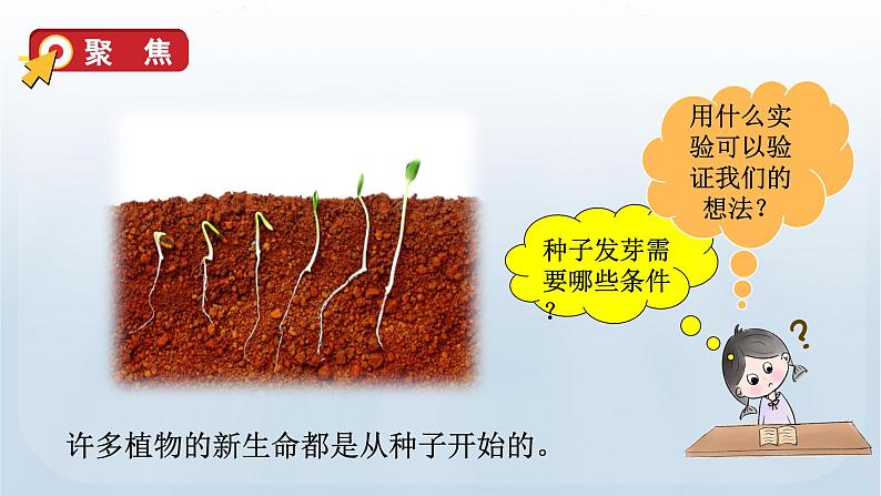 教科版科学五年级下册 1.1 种子发芽实验 课件+视频07