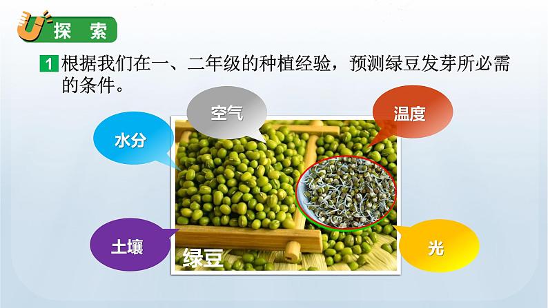 教科版科学五年级下册 1.1 种子发芽实验 课件+视频08