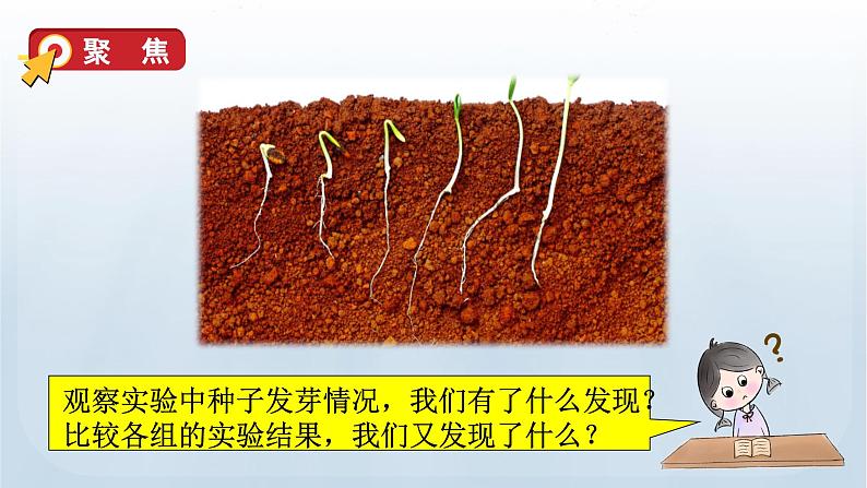 教科版科学五年级下册 1.2 比较种子发芽实验 课件+视频04
