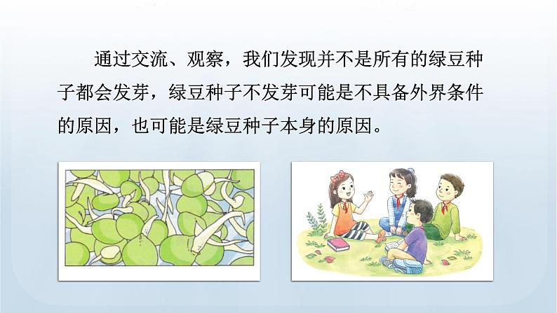 教科版科学五年级下册 1.2 比较种子发芽实验 课件+视频05