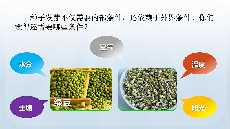 教科版科学五年级下册 1.2 比较种子发芽实验 课件+视频06