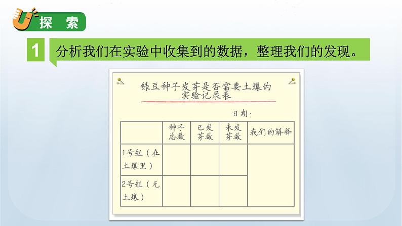 教科版科学五年级下册 1.2 比较种子发芽实验 课件+视频07