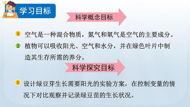 教科版科学五年级下册 1.3 绿豆苗的生长 课件02