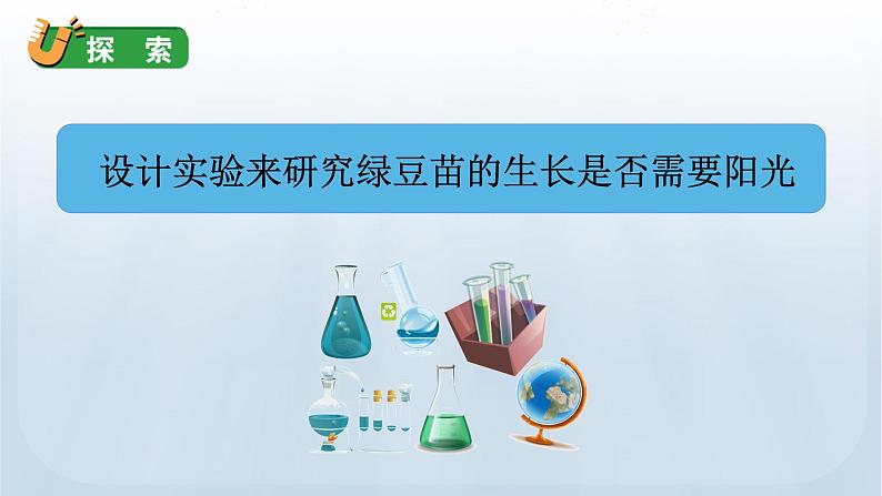 教科版科学五年级下册 1.3 绿豆苗的生长 课件06