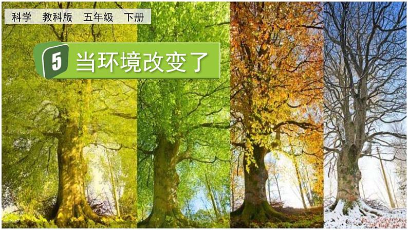 教科版科学五年级下册 1.5 当环境改变了 课件第1页