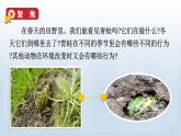 教科版科学五年级下册 1.5 当环境改变了 课件