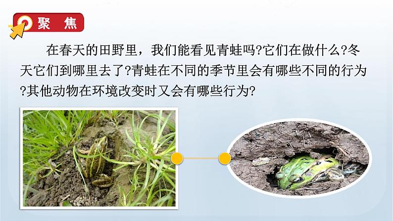 教科版科学五年级下册 1.5 当环境改变了 课件第4页