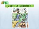 教科版科学五年级下册 1.5 当环境改变了 课件