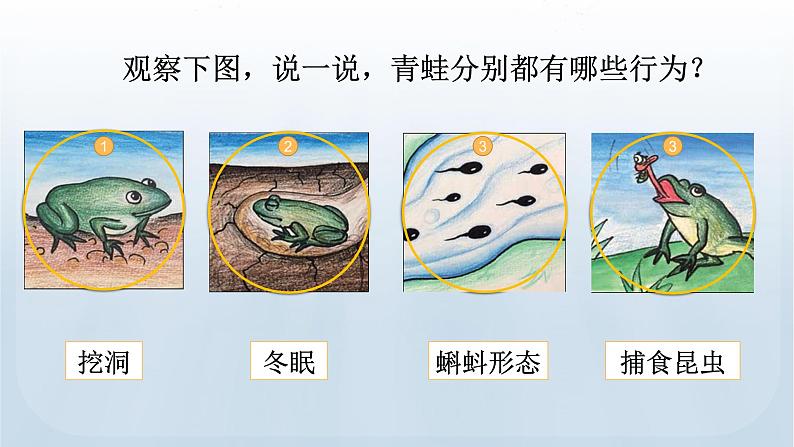 教科版科学五年级下册 1.5 当环境改变了 课件第6页