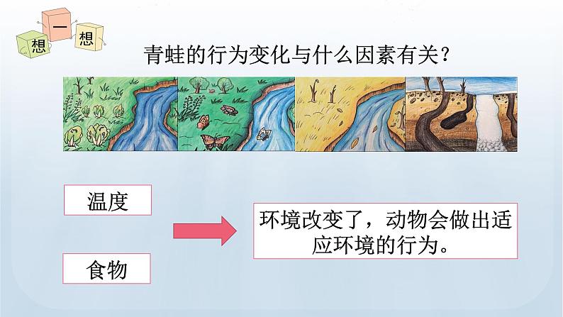 教科版科学五年级下册 1.5 当环境改变了 课件第7页