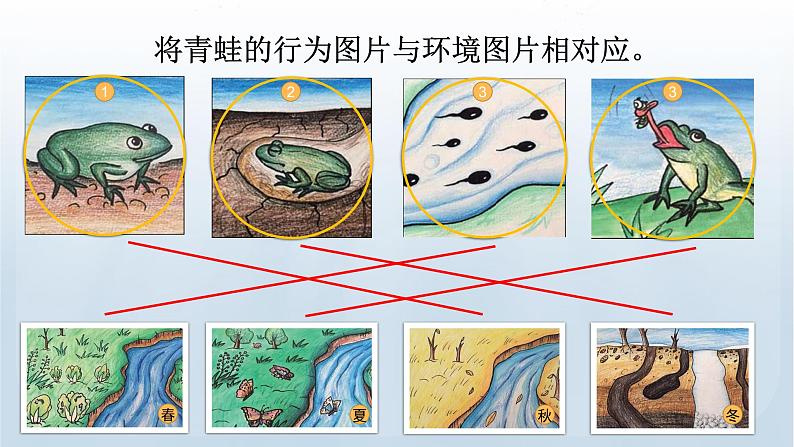 教科版科学五年级下册 1.5 当环境改变了 课件第8页