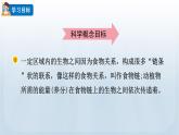 教科版科学五年级下册 1.6 食物链和食物网 课件