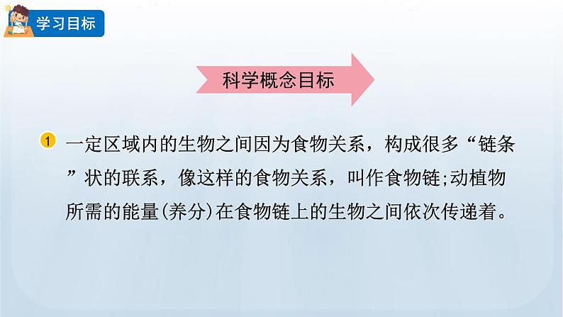 教科版科学五年级下册 1.6 食物链和食物网 课件02