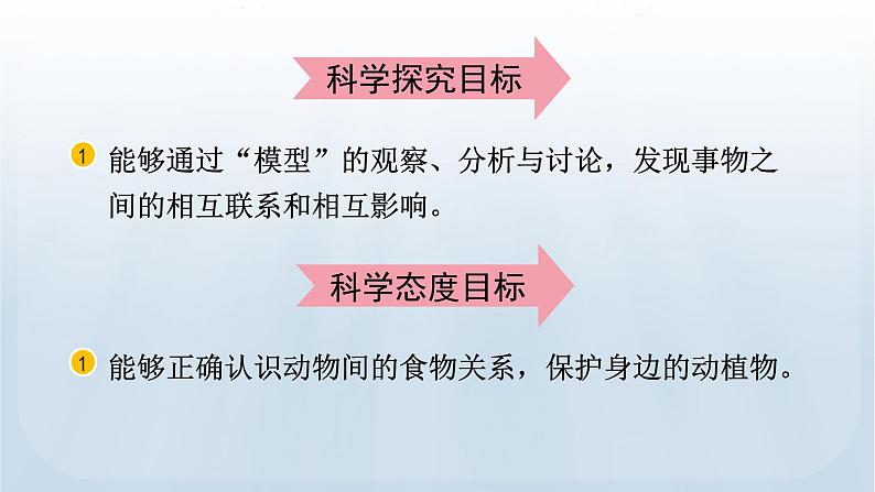 教科版科学五年级下册 1.6 食物链和食物网 课件03