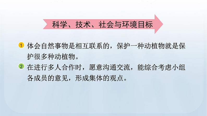 教科版科学五年级下册 1.6 食物链和食物网 课件04