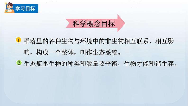 教科版科学五年级下册 1.7 设计和制作生态瓶 课件第2页