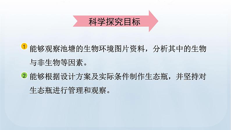 教科版科学五年级下册 1.7 设计和制作生态瓶 课件第3页