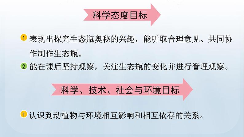 教科版科学五年级下册 1.7 设计和制作生态瓶 课件第4页