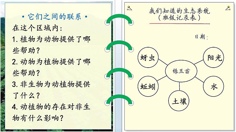 教科版科学五年级下册 1.7 设计和制作生态瓶 课件第8页