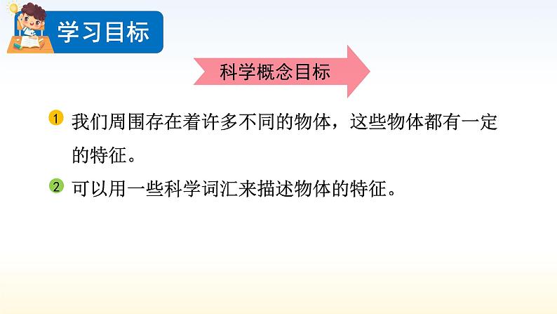 教科版科学一年级下册 1.1 发现物体的特征 课件第3页