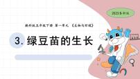 小学科学教科版 (2017)五年级下册3.绿豆苗的生长优秀ppt课件